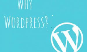 Read more about the article WordPress