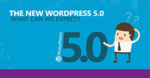 Read more about the article I upgraded to WordPress 5